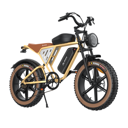 Maison RYDEQ™ JX70 Electric Bike – Long Range Dual Battery Bicycle