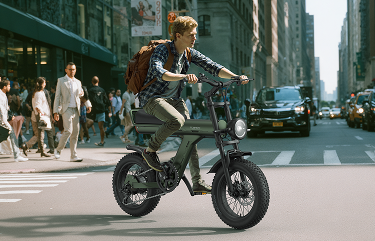 Maison RYDEQ™ JX90 Commuter Electric Bike