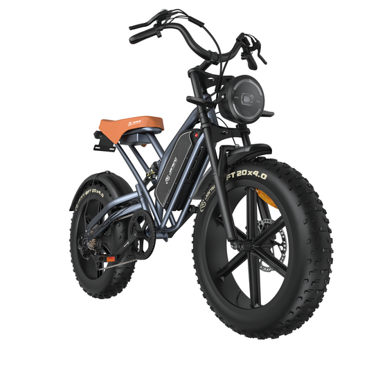 Maison RYDEQ™ JX50 — Fat Tire E-Bike (48V 17Ah, NFC Display)