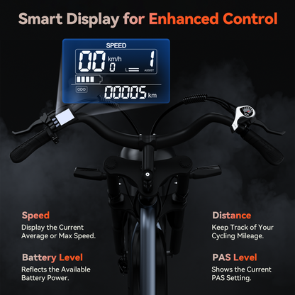 Maison RYDEQ™ JX50 — Fat Tire E-Bike (48V 17Ah, NFC Display)