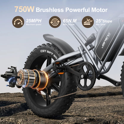 Maison RYDEQ™ JX50 — Fat Tire E-Bike (48V 17Ah, NFC Display)