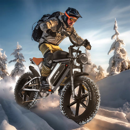 Maison RYDEQ™ JX70 Electric Bike – Long Range Dual Battery Bicycle