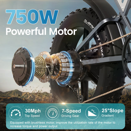 Maison RYDEQ™ JX70 Electric Bike – Long Range Dual Battery Bicycle