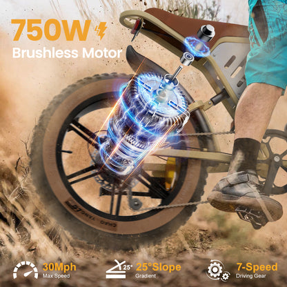 Maison RYDEQ™ JX70 Electric Bike – Long Range Dual Battery Bicycle