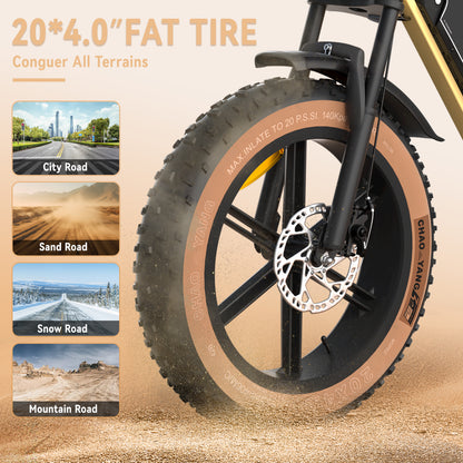 Maison RYDEQ™ JX70 Electric Bike – Long Range Dual Battery Bicycle