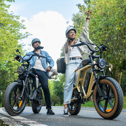 Maison RYDEQ™ JX70 Electric Bike – Long Range Dual Battery Bicycle