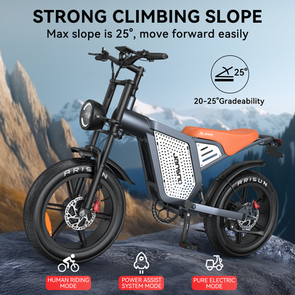 Maisonn RYDEQ™ JX60G Electric Bike Dual Motor All-Wheel Drive